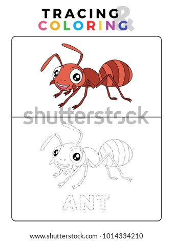 Funny Ant Insect Animal Tracing and Coloring Book with Example. Preschool worksheet for practicing fine motor and color recognition skill. Vector Cartoon Illustration for Children.