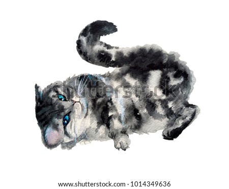 Watercolor cute cat on the white background. Watercolor graphic for fabric, postcard, greeting card, book, poster, tee-shirt. Illustration, isolation objects