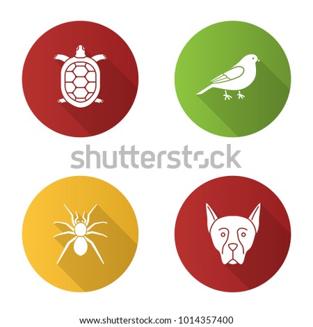 Pets flat design long shadow glyph icons set. Tortoise, canary, spider, Doberman Pinscher. Vector silhouette illustration