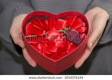 red heart box with red rose with woman hand Valentine's day 