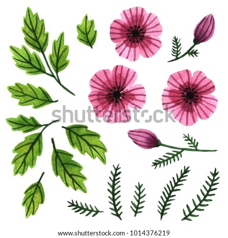 Watercolor clip art collection of pink tropical flowers and green leaves. Hand painted floral elements for decoration