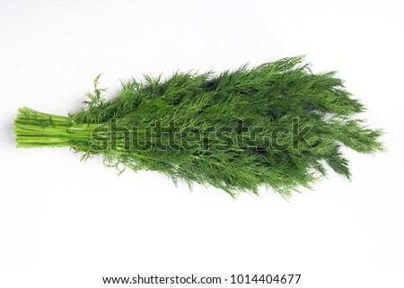 Bunch of fresh dill with shadow isolated on white background.