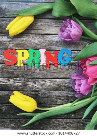 spring flatlay. tulips and spring wooden letters