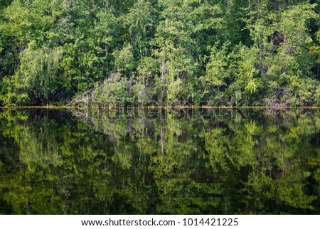 background - trees and shrubs reflected in a forest lake; shore line in the middle of the picture