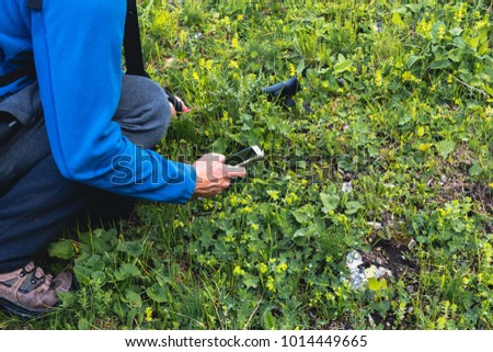 A hiking tourist uses a smartphone in nature to obtain information about flowers and herbs. The concept of using modern digital communication trips.