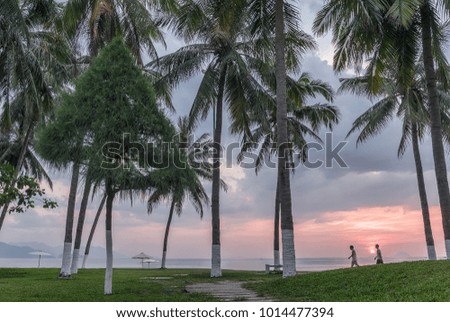 Vietnam. Nha Trang. Early morning. Dawn. Long palm trees and silhouettes of people walking along the beach