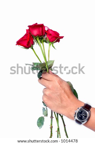 Hand holding a roses