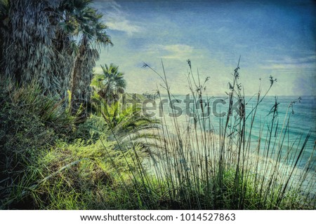 Swami's Beach in Encinitas near San Diego California tropical image textured vintage
