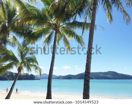 Beautiful view of Hamilton Island in Whitsunday, Queensland, Australia / One of the Best place to Holiday in the world / beautiful beach, coral reef and great barrier reef