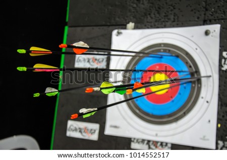 closeup of several colorful arrows struck on target paper