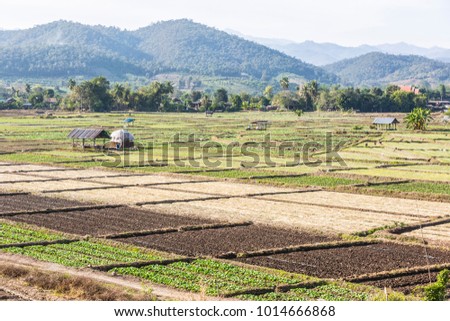 Rows of seed on fertile farm land, Soil Preparation  background, agriculture business, Agribusiness, selective focus