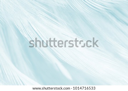 Beautiful green turquoise vintage color trends feather texture background ,pastel color tone