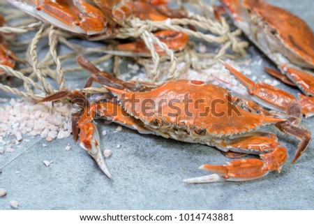 Fresh horse crabs / BLUE SWIMMING CRAB on the plate.