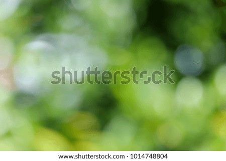 Abstract bokeh green background