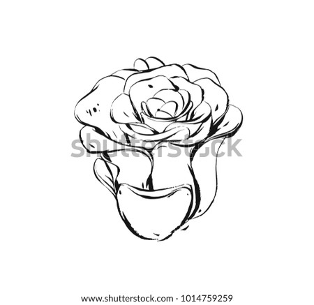 Hand drawn vector abstract artistic ink textured graphic sketch drawing illustration of succulent cactus plant with flowers isolated on white background.