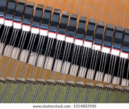 closeup of snares pins and mutes inside old bechstein grand piano