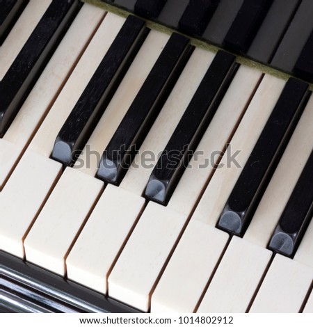 closeup of black and white keys on old ivory keyboard of antique bechstein grand piano
