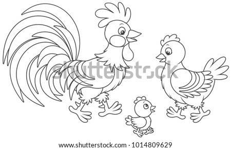 Funny family of a rooster, a cute hen and a little chick, a black and white vector illustration in cartoon style for a coloring book