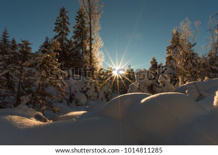 Wonderful sunrise in a landscape covered of deep snow. Some trees, sunshine and a lot of snow developed a magical moment for landscape photography.