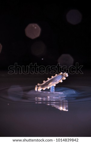 water drop photography with milk