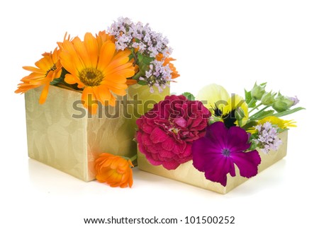 Floral golden gift abstract concept with red rose and calendula flowers
