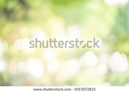 abstract blurry clean green nature forest background with sunlight yellow effect flare for montage picture as banner or element design