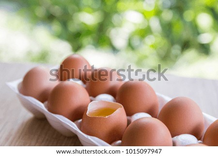 Close-up view of raw chicken eggs and egg yolk on green plants background
