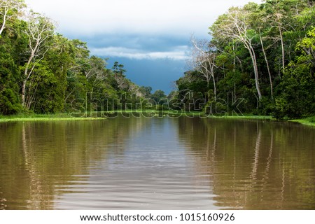 The Amazon River, in South America is the largest river in the world by lenght and discharge volume of water. It flows throug Brazil, Peru, Bolivia, Colombia, Ecuador, Venezuela and Guyana. Royalty-Free Stock Photo #1015160926
