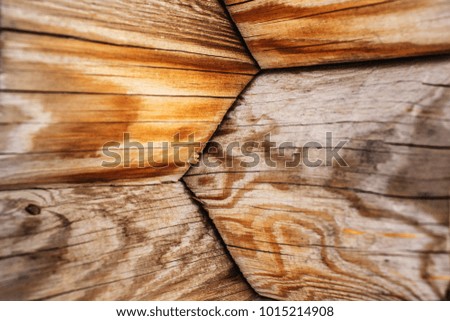 The texture of a wall made of pine logs. Close-up.
