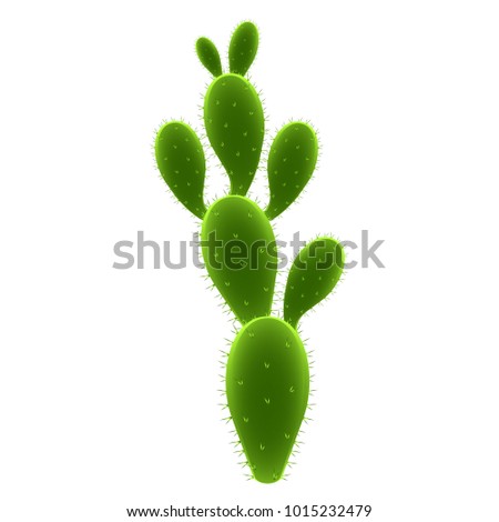 Isolated cute cactus