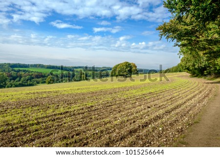 Footpath along fields in the Chiltern Hills. Chess Valley. Royalty-Free Stock Photo #1015256644