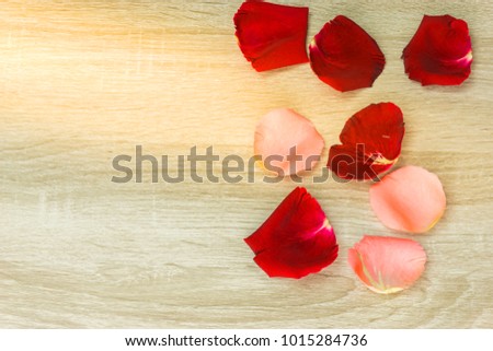 red roses petals and blank paper for valentine concept