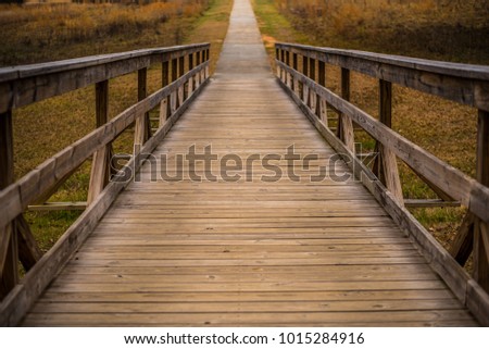 Walking the Pathway over the Bridge in the the park 