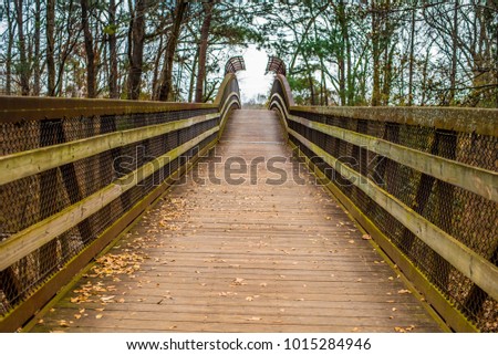 Walking the Pathway over the Bridge in the the park 