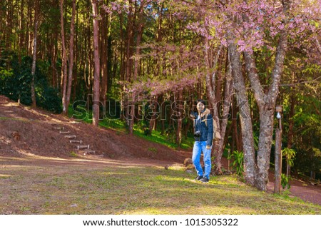 beautiful Asian woman in the park with pink cherry blossom flowers background, travel theme portrait
