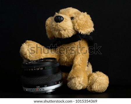 Photographic lens with a teddy dog black background