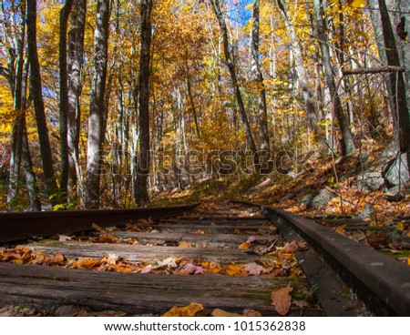 Railroad tracks covered in fall leaves off of the Blue Ridge Parkway in Virginia 