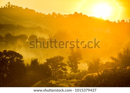 Beautiful spring mountain landscape at sunrise