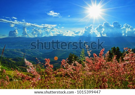 Grass blue sunshine Royalty-Free Stock Photo #1015399447