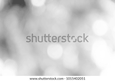 Gray bokeh out of focus background from nature forest