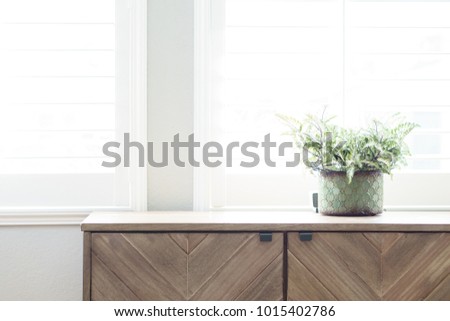 plant on dresser with window light Royalty-Free Stock Photo #1015402786