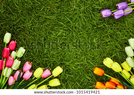 Colorful tulips in a field. Spring - poster with free text space, Flat lay, top view. Valentines background. Horizontal, wide screen format, toned