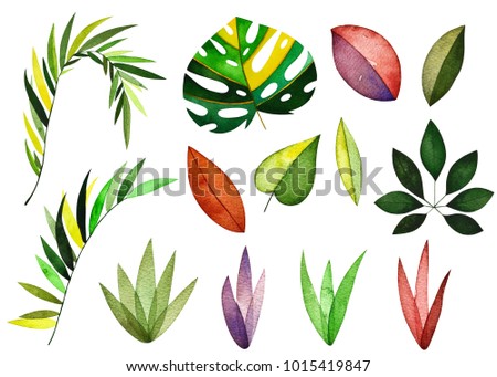 Watercolor tropical collection. Included colorful leaves and branches. Perfect for you postcard design,invitations,projects,wedding card,poster,packaging.