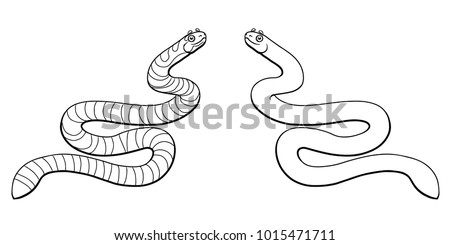 Beautiful, but dangerous striped black with gray a sea serpent line-art separately on a white background. Vector cartoon illustration, page coloring book