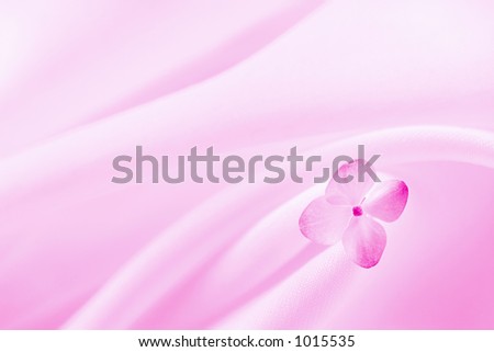 Pink Background With Flower.