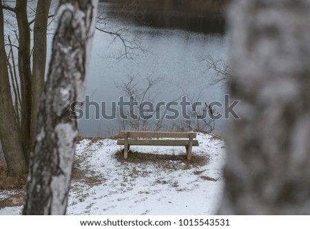 Romantic bench in nature, excellent location for a couple in love.