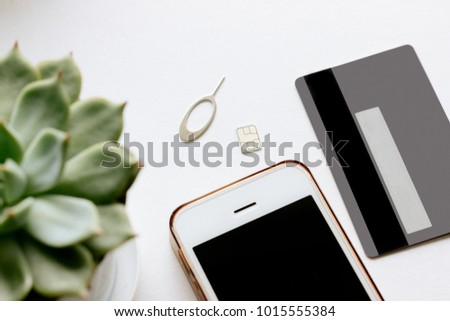 Succulent plant, white smartphone, sim-card, bank credit card and clip isolated on the white background.