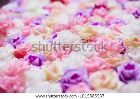 colorful roses wall background. close up.