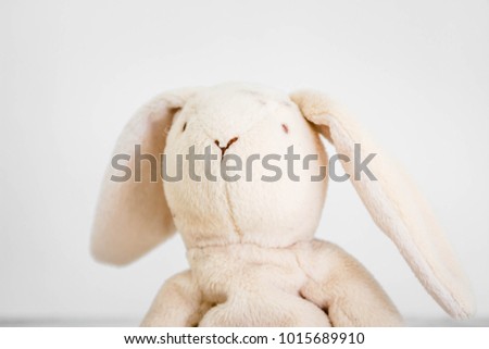 Rabbit doll sitting alone on white background