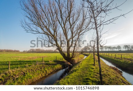 Backlit image of Dutch polder landscape with a narrow walkway between two ditches on a sunny day in the winter season.